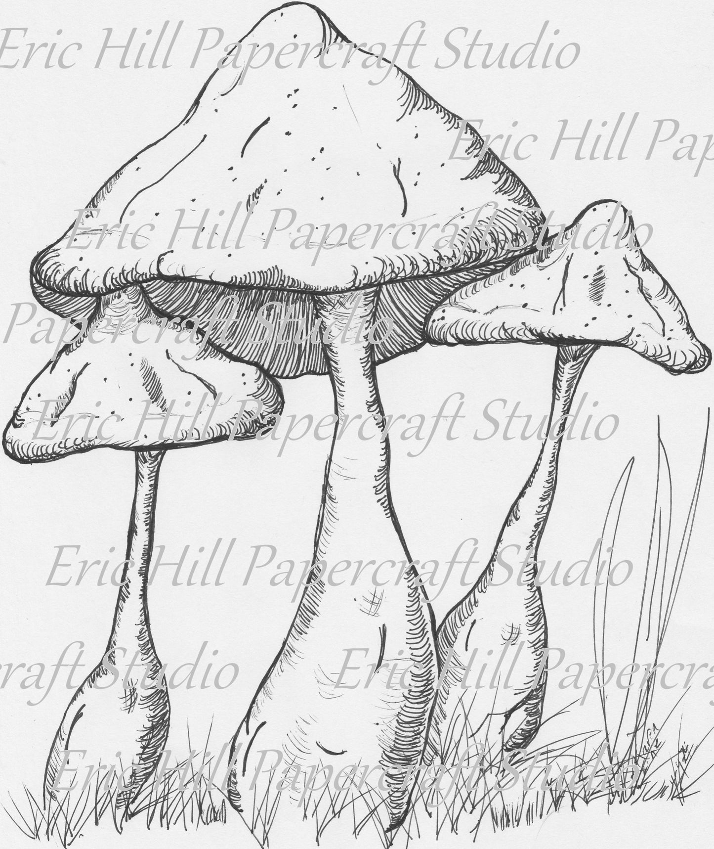 Mushroom Impressions Paperintables (TM) Series #422 digital file download kit